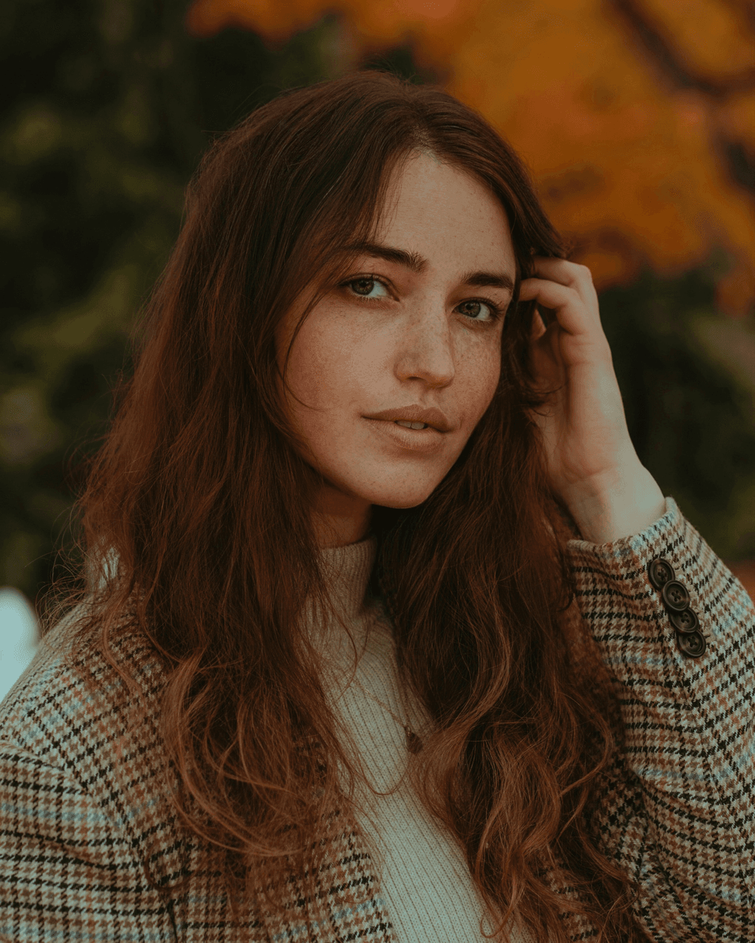 Photo avant traitement